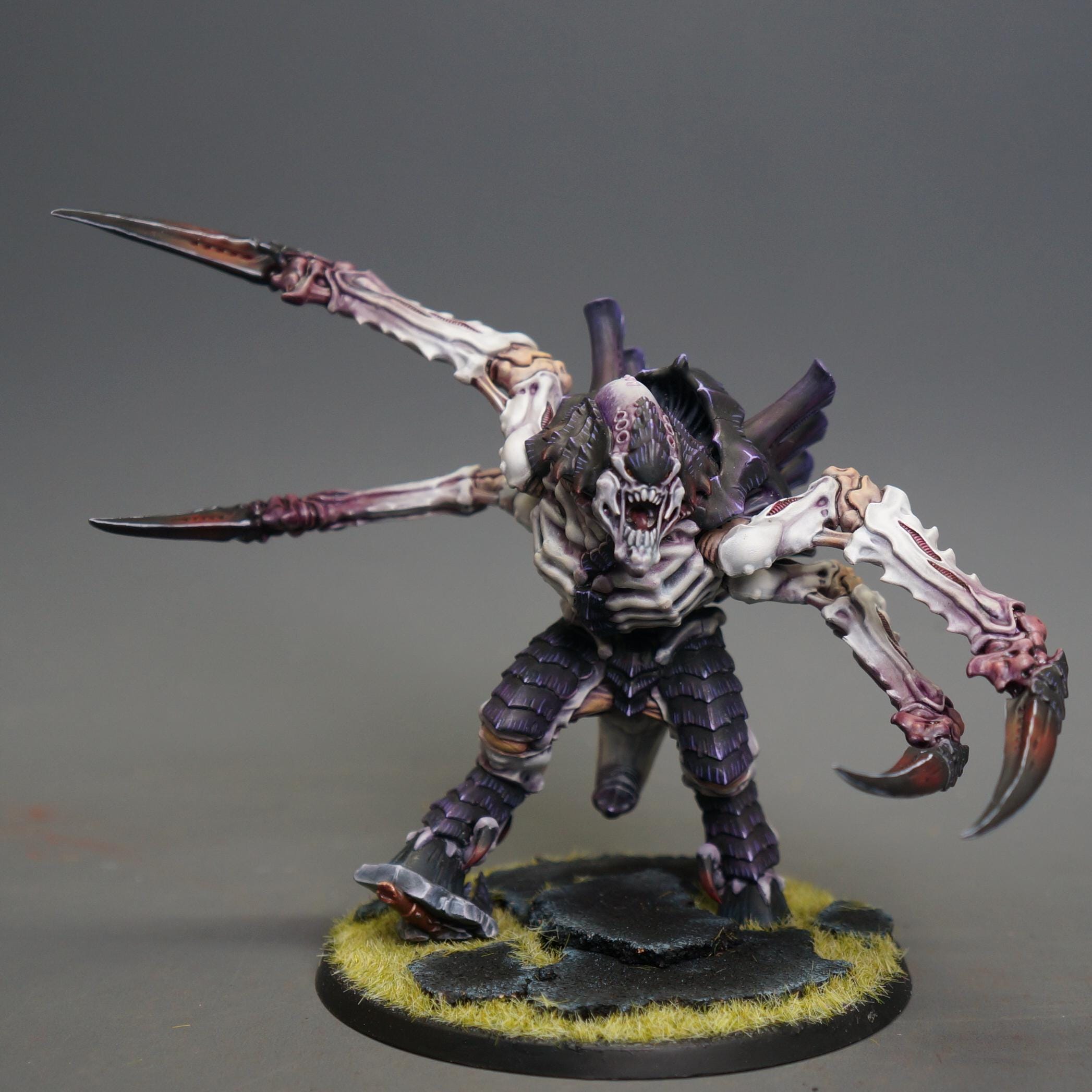 Tyranids Screamer Killer Xenos Armies WH 40k Custom Professional