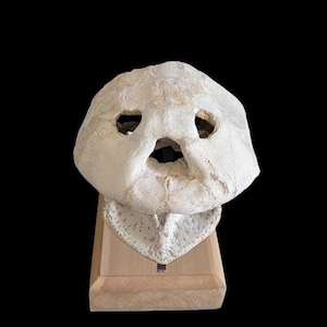 May include: A weathered, off-white sculpture of a stylized face with large eye sockets and a gaping mouth. The sculpture is mounted on a light-colored wooden base, set against a black background. The piece has a primitive, ancient aesthetic.
