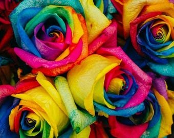 50Pc Multi-Color Rainbow Rose Seeds for Vibrant Home Garden