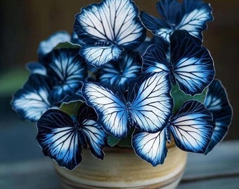 Blue Butterfly Coleus Seeds – Rare Ornamental Foliage for Shade Gardens, Indoor Pots