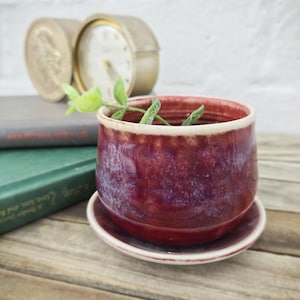 Succulent planter / mini succulent / indoor planter with plate / mini indoor plant pot / gardening / gardener's gift / house plant pot