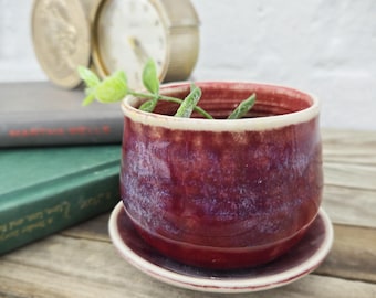 Succulent planter / mini succulent / indoor planter with plate / mini indoor plant pot / gardening / gardener's gift / house plant pot / dad