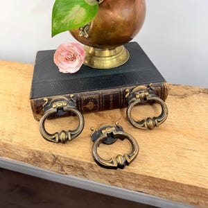 May include: A vintage copper and brass planter with a handle, holding green plants. A pink rose and three antique brass drawer pulls are on a wooden surface, atop a dark book.