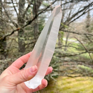 Old Stock Brazilian Lemurian Seed Laser Crystal Wand image 2