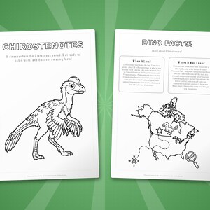 Chirostenotes Dinosaur Activity Bundle | Coloring Pages, Worksheets, Facts (PDF Download) image 5