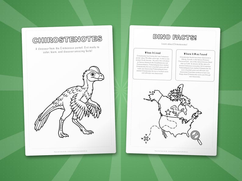 Chirostenotes Dinosaur Activity Bundle | Coloring Pages, Worksheets, Facts (PDF Download) image 5