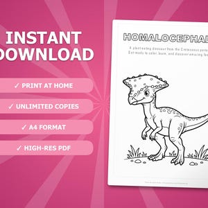 Homalocephale Dinosaurier Aktivität Bündel | Ausmalbilder, Arbeitsblätter, Fakten (PDF) Bild 4