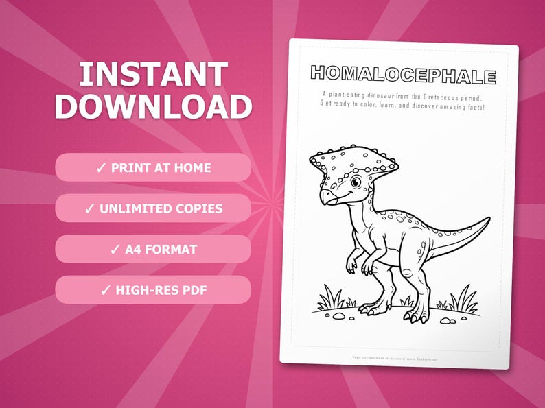 Homalocephale Dinosaurier Aktivität Bündel | Ausmalbilder, Arbeitsblätter, Fakten (PDF) Bild 4