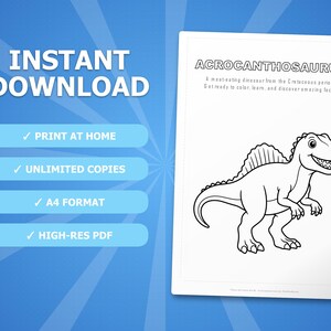 Pacchetto di attività sul dinosauro Acrocanthosaurus: pagine da colorare, schede didattiche e curiosità (PDF) immagine 4