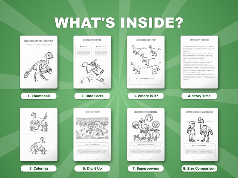 Chirostenotes Dinosaur Activity Bundle | Coloring Pages, Worksheets, Facts (PDF Download) image 2
