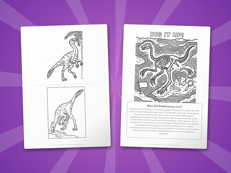 Struthiomimus Dinosaur Activity Bundle | Coloring Pages, Worksheets, Facts (PDF) image 7