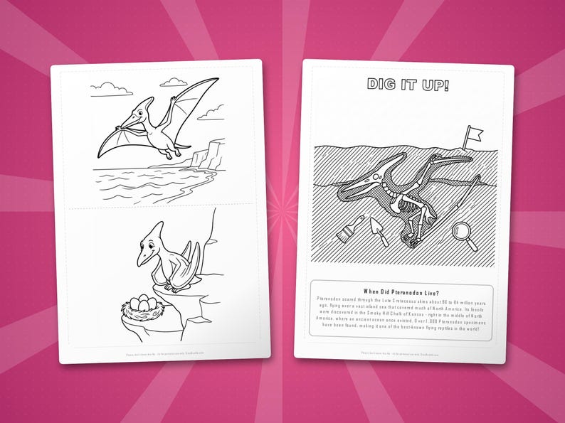 Pteranodon Dinosaur Activity Bundle | Coloring Pages, Worksheets, Facts (PDF Download) image 7
