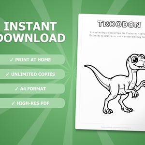 Pacchetto di attività sul dinosauro Troodon / Pagine da colorare, schede di lavoro, curiosità (PDF immediato) immagine 4