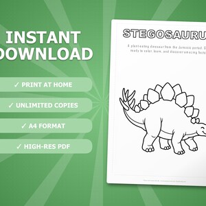 Stegosaurus Dinosaur Activity Bundle | Coloring Pages, Worksheets, Facts (PDF) image 4