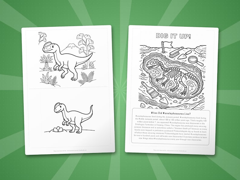 Monolophosaurus Dinosaur Activity Bundle | Coloring Pages, Worksheets, Facts (PDF) image 7