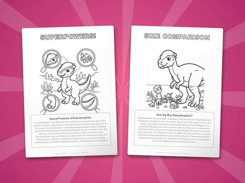 Homalocephale Dinosaurier Aktivität Bündel | Ausmalbilder, Arbeitsblätter, Fakten (PDF) Bild 8