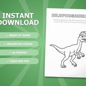 Dilophosaurus Dinosaur Activity Bundle | Coloring Pages, Worksheets, Facts (PDF) image 4
