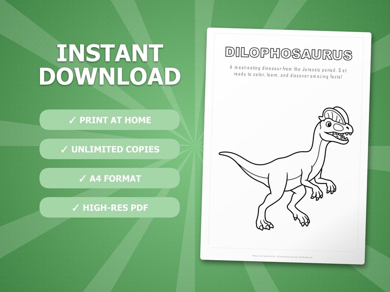 Dilophosaurus Dinosaur Activity Bundle | Coloring Pages, Worksheets, Facts (PDF) image 4