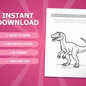 Herrerasaurus Dinosaur Activity Bundle | Coloring Pages, Worksheets, Facts (PDF Download) image 4
