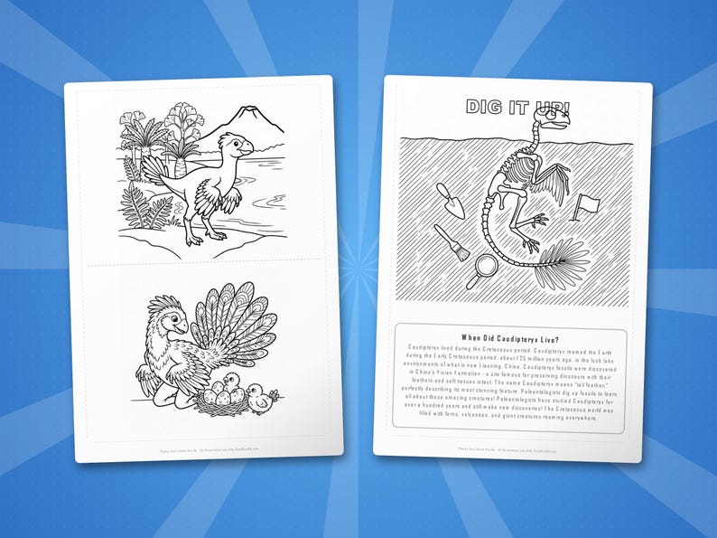 Caudipteryx-activiteitenbundel dinosaurus | Kleurplaten, werkbladen, feiten (pdf-download) afbeelding 7