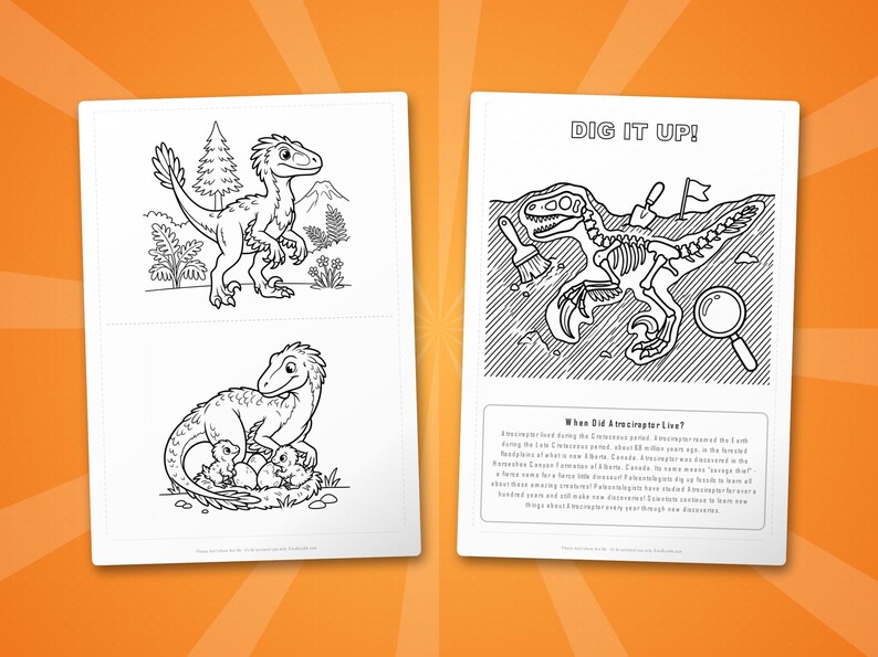 Atrociraptor Dinosaur Activity Bundle | Coloring Pages, Worksheets, Facts (PDF Download) image 7