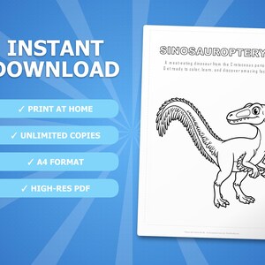 Sinosauropteryx Dinosaurier Aktivitäts-Bundle | Ausmalbilder, Arbeitsblätter, Fakten (PDF) Bild 4