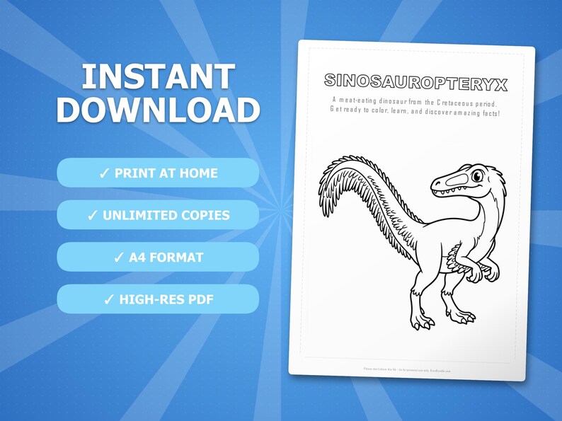 Sinosauropteryx Dinosaurier Aktivitäts-Bundle | Ausmalbilder, Arbeitsblätter, Fakten (PDF) Bild 4