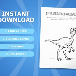 Pelecanimimus Dinosaurier Aktivitäts-Bundle | Ausmalbilder, Arbeitsblätter, Fakten (PDF Download) Bild 4