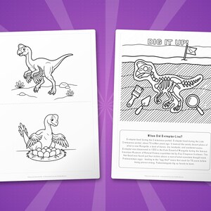Oviraptor Dinosaur Activity Bundle | Coloring Pages, Worksheets, Facts (PDF Download) image 7