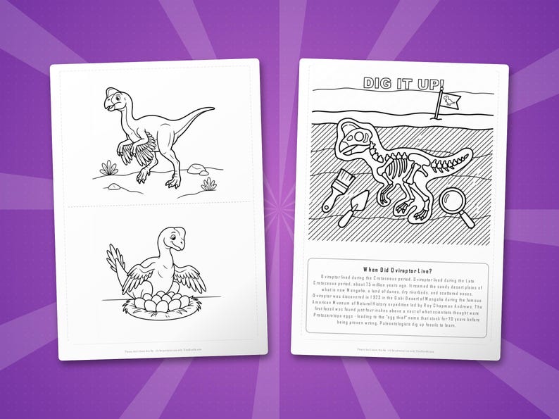 Oviraptor Dinosaur Activity Bundle | Coloring Pages, Worksheets, Facts (PDF Download) image 7