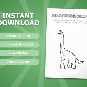 Activiteitenbundel brachiosaurus-dinosaurus | Kleurplaten, werkbladen, feiten (pdf-download) afbeelding 4