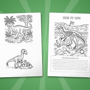 Paquete de actividades sobre el dinosaurio Limusaurus / Páginas para colorear, hojas de trabajo, datos (PDF) imagen 7