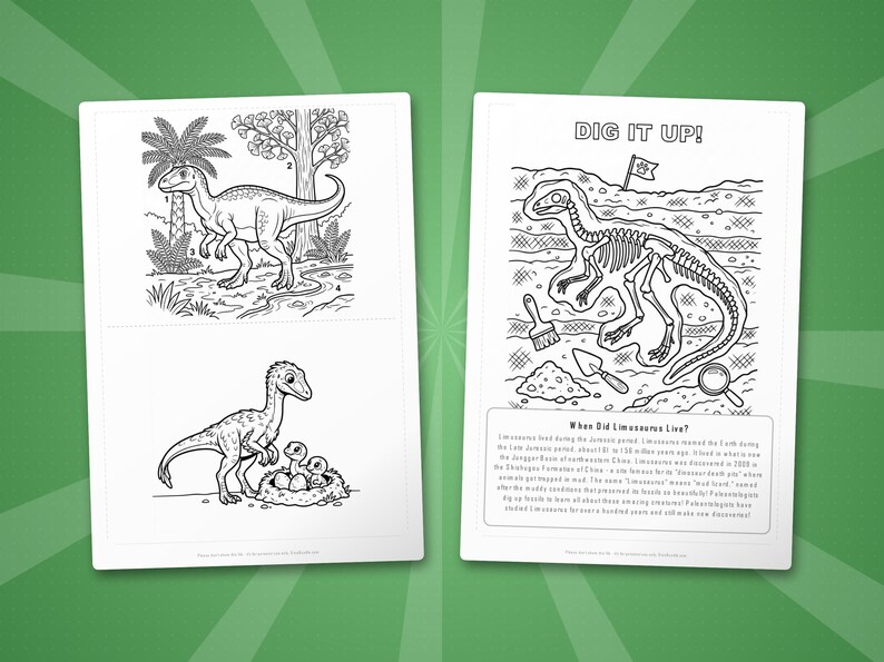 Paquete de actividades sobre el dinosaurio Limusaurus / Páginas para colorear, hojas de trabajo, datos (PDF) imagen 7