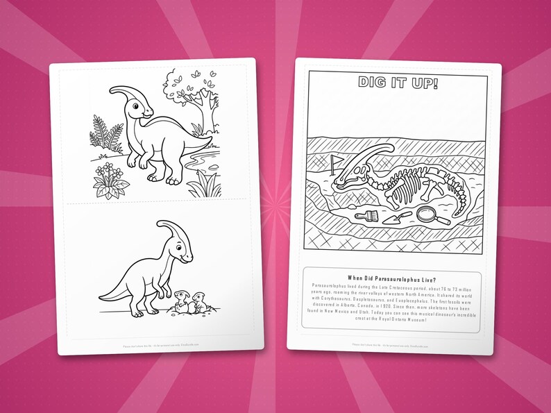 Activiteitenbundel dinosaurus Parasaurolophus | Kleurplaten, werkbladen, feiten (pdf-download) afbeelding 7