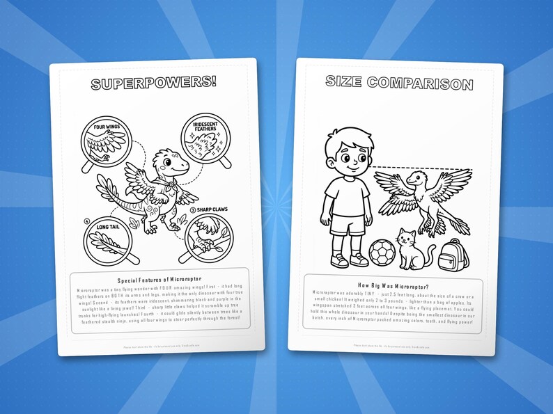 Ensemble d'activités dinosaure microraptor | Coloriages à imprimer, feuilles d'exercices et faits divers pour les enfants | Préscolaire École à la maison | PDF instantané image 8