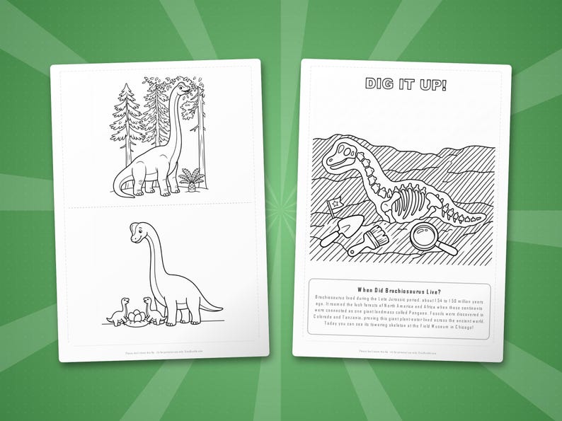 Activiteitenbundel brachiosaurus-dinosaurus | Kleurplaten, werkbladen, feiten (pdf-download) afbeelding 7
