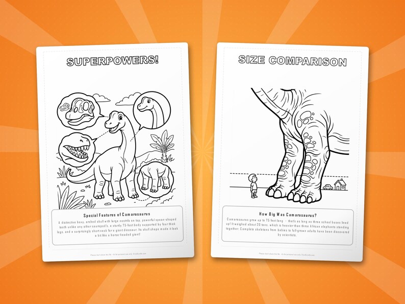 Camarasaurus Dinosaur Activity Bundle | Coloring Pages, Worksheets, Facts (PDF Download) image 8