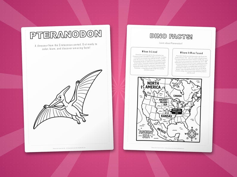 Pteranodon Dinosaur Activity Bundle | Coloring Pages, Worksheets, Facts (PDF Download) image 5