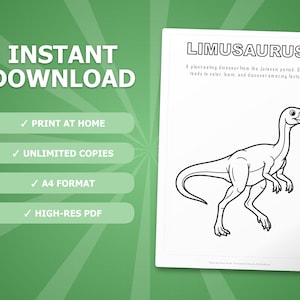 Paquete de actividades sobre el dinosaurio Limusaurus / Páginas para colorear, hojas de trabajo, datos (PDF) imagen 4