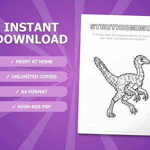 Struthiomimus Dinosaur Activity Bundle | Coloring Pages, Worksheets, Facts (PDF) image 4