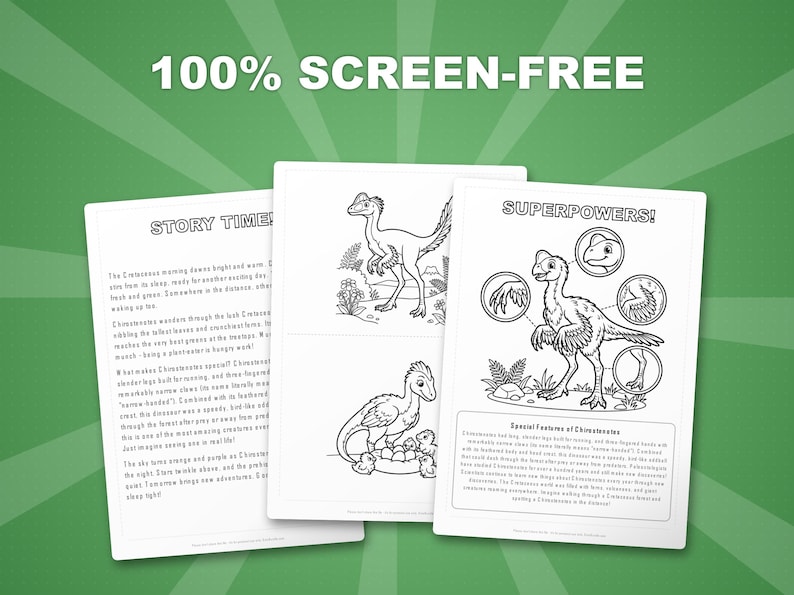 Chirostenotes Dinosaur Activity Bundle | Coloring Pages, Worksheets, Facts (PDF Download) image 3