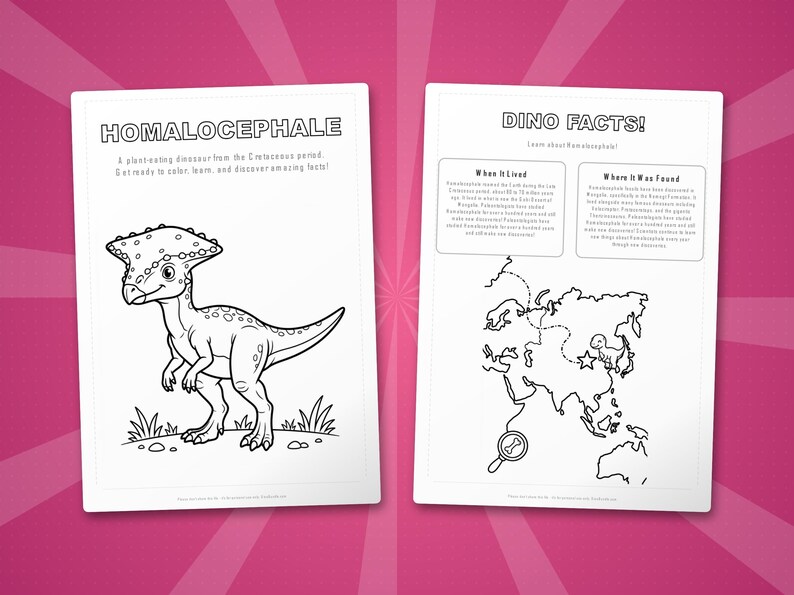 Homalocephale Dinosaurier Aktivität Bündel | Ausmalbilder, Arbeitsblätter, Fakten (PDF) Bild 5
