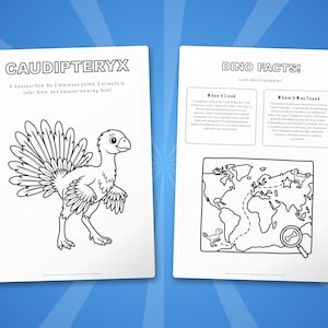 Caudipteryx-activiteitenbundel dinosaurus | Kleurplaten, werkbladen, feiten (pdf-download) afbeelding 5