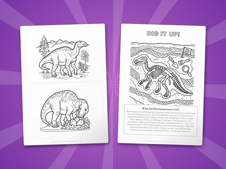 Shantungosaurus Dinosaur Activity Bundle | Coloring Pages, Worksheets, Facts (PDF Download) image 7