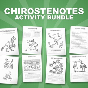 Chirostenotes Dinosaur Activity Bundle | Coloring Pages, Worksheets, Facts (PDF Download) image 1