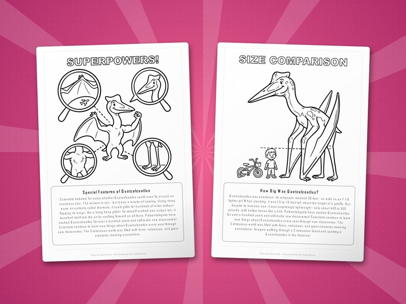 Quetzalcoatlus-activiteitenbundel dinosaurus | Kleurplaten, werkbladen, feiten (pdf-download) afbeelding 8