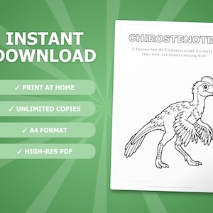 Chirostenotes Dinosaur Activity Bundle | Coloring Pages, Worksheets, Facts (PDF Download) image 4