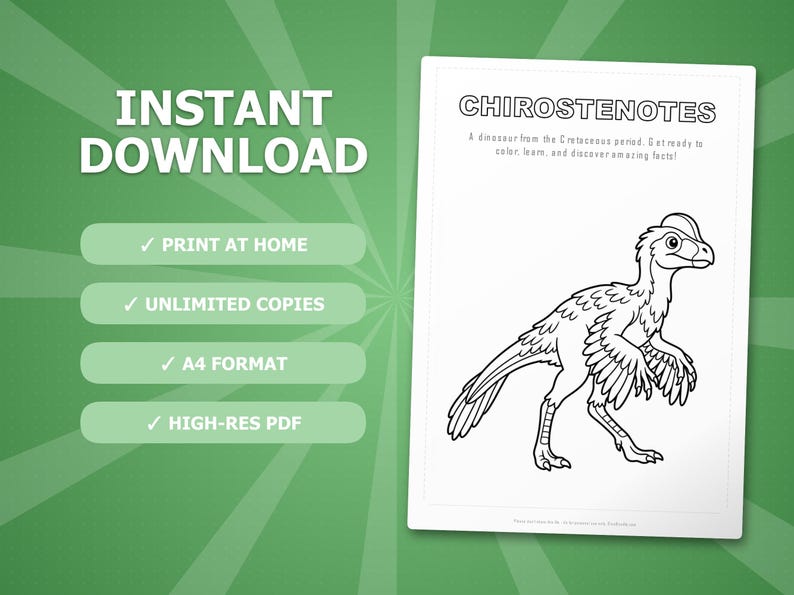 Chirostenotes Dinosaur Activity Bundle | Coloring Pages, Worksheets, Facts (PDF Download) image 4