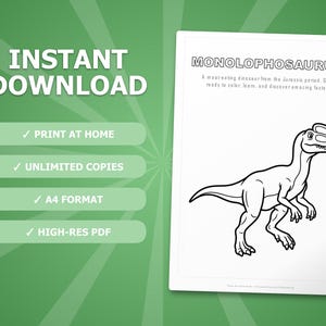 Monolophosaurus Dinosaur Activity Bundle | Coloring Pages, Worksheets, Facts (PDF) image 4