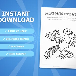 Archaeopteryx Dinosaur Activity Bundle | Coloring Pages, Worksheets, Facts (PDF Download) image 4